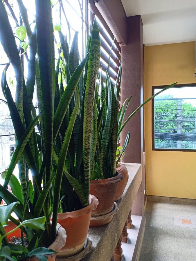 بيت شباب Kookkai House Patong المظهر الخارجي الصورة